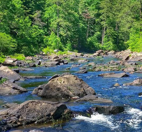 Coosa Bass River in Alabama